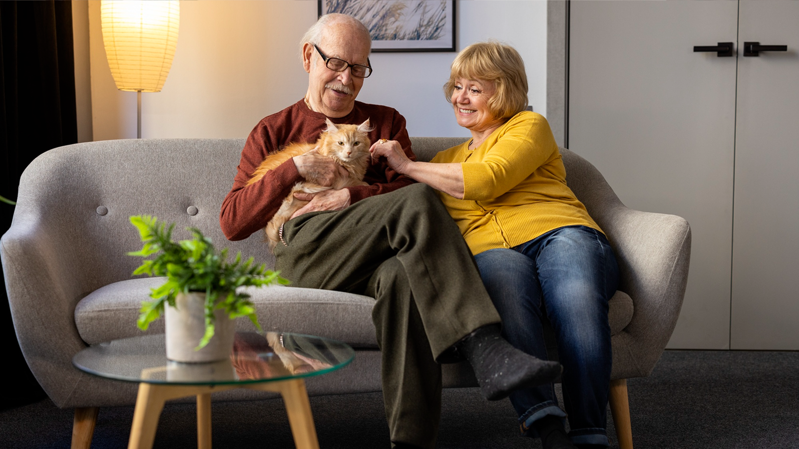 Home Care
